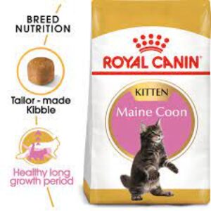 غذای بچه گربه رویال کنین وزن 2کیلویی Royal Canin Maine Coon Kitten