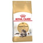 pco ro234800 royal canin feline breed nutrition maine coon 2kg 1589814450