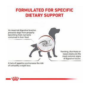 غذای خشک سگ بالغ رویال کنین دستگاه گوارش 2 کیلوگرم Royal Canin GastroIntestinal