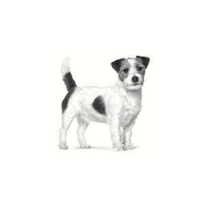 غذای خشک سگ بالغ نژاد کوچک رویال کنین 2 کیلوگرم Royal Canin Skin Care Small Dog